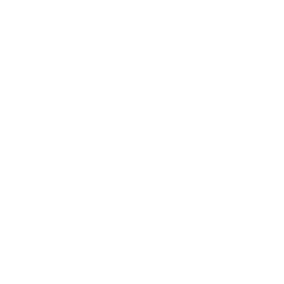 kerry fire and security company